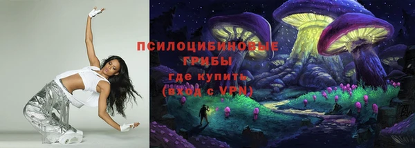 ПСИЛОЦИБИНОВЫЕ ГРИБЫ Алзамай