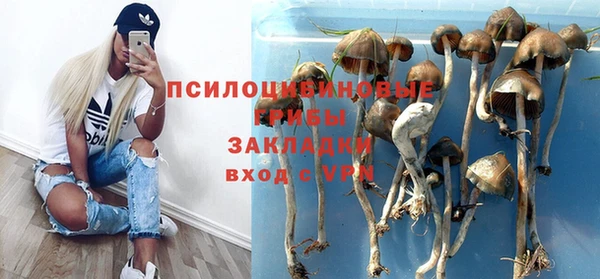 mix Алексеевка