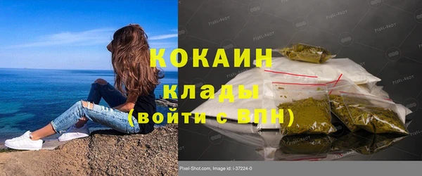 ПСИЛОЦИБИНОВЫЕ ГРИБЫ Алзамай