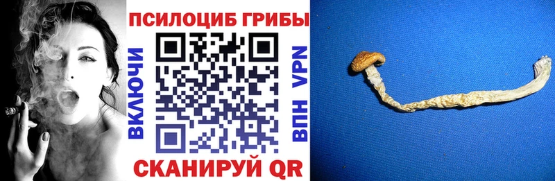 Галлюциногенные грибы GOLDEN TEACHER  Белореченск 